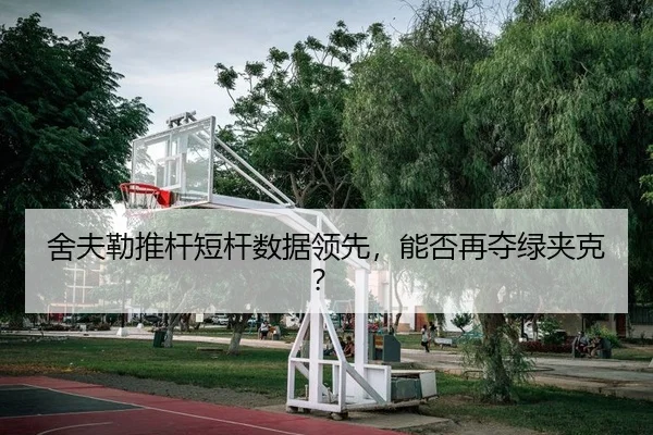 舍夫勒推杆短杆数据领先，能否再夺绿夹克？